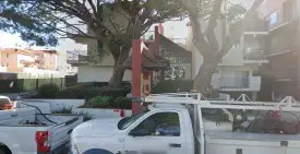 section 8 rental