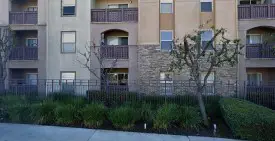 section 8 rental