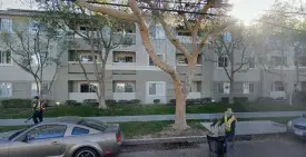 section 8 rental