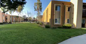 section 8 rental