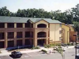 section 8 rental