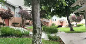 section 8 rental