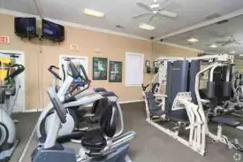 section 8 rental