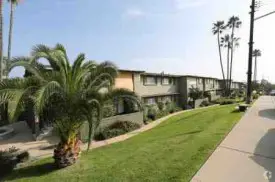 section 8 rental