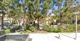 section 8 rental