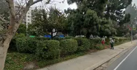 section 8 rental