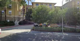 section 8 rental