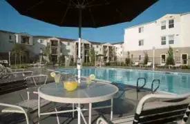 section 8 rental