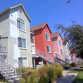 section 8 rental