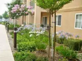 section 8 rental
