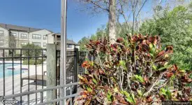 section 8 rental