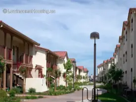 section 8 rental