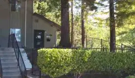 section 8 rental
