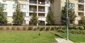 section 8 rental