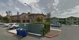 section 8 rental