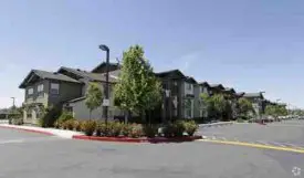 section 8 rental