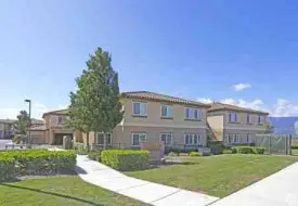 section 8 rental