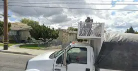 section 8 rental