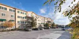 section 8 rental