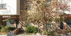 section 8 rental