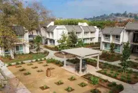 section 8 rental
