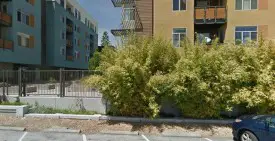 section 8 rental