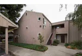 section 8 rental