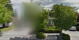 section 8 rental