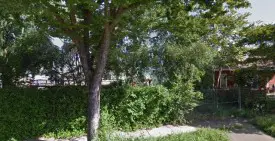 section 8 rental