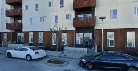 section 8 rental