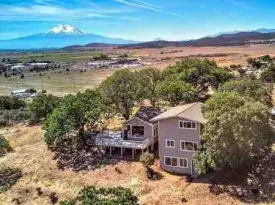 section 8 rental