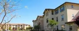 section 8 rental