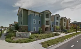 section 8 rental