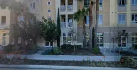 section 8 rental