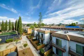 section 8 rental
