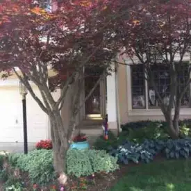 section 8 rental