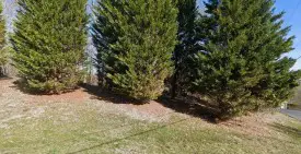 section 8 rental