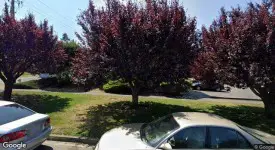 section 8 rental