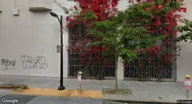 section 8 rental