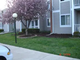 section 8 rental