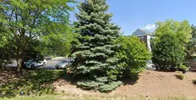 section 8 rental