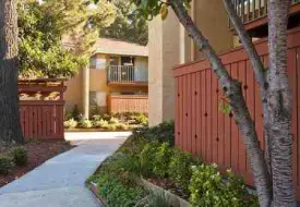 section 8 rental