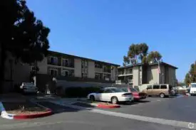 section 8 rental