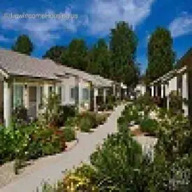 section 8 rental