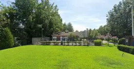 section 8 rental