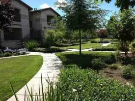 section 8 rental