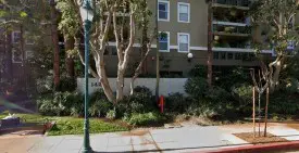 section 8 rental