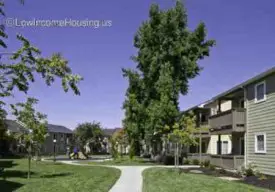 section 8 rental