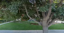 section 8 rental