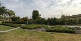 section 8 rental